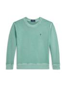 Polo Ralph Lauren Sweatshirt  navy / turkis