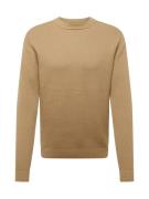 SELECTED HOMME Pullover 'SLHDANE'  lysebrun