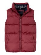 TOMMY HILFIGER Vest  merlot