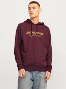 JACK & JONES Sweatshirt 'JJALVIS'  orange / vinrød