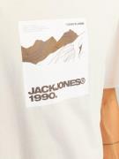 JACK & JONES Bluser & t-shirts 'JCOART'  lysebeige / choko / brokade /...