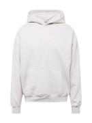 HOLLISTER Sweatshirt  grå-meleret