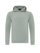 By Diess Collection Sweatshirt  lysegrøn