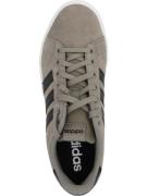 ADIDAS ORIGINALS Sneaker low 'DAILY 4.0'  stone / sort