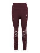 OCEANSAPART Leggings 'Tiffany'  vinrød / hvid