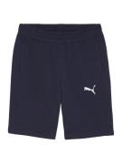 PUMA Sportsbukser 'TeamGOAL'  marin / hvid