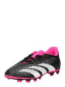 ADIDAS PERFORMANCE Sportssko 'Predator Accuracy.4 Flexible Ground'  pi...