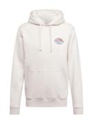 BILLABONG Sweatshirt 'WALLED'  beige-meleret / navy / lyseblå / mørker...