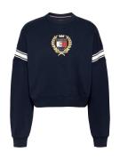 Tommy Jeans Sweatshirt  navy / guld / rød / hvid