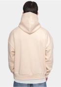 Dropsize Sweatshirt  beige / brun