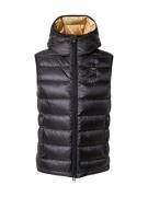 Blauer.USA Vest  guld / sort