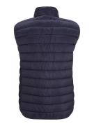 North Sails Vest 'SKYE'  navy