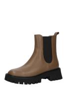 MICHAEL Michael Kors Chelsea Boots 'ASHER'  brun / sort