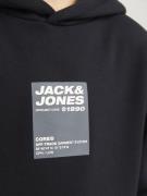 Jack & Jones Junior Sweatshirt  grå / sort / hvid