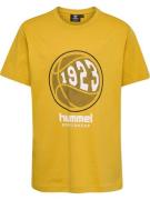 Hummel Shirts 'LEO'  sennep / grå / hvid