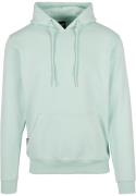 Cayler & Sons Sweatshirt  mint