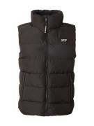 Superdry Vest  abrikos / sort