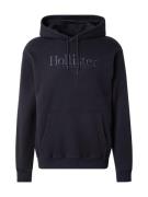 HOLLISTER Sweatshirt  sort