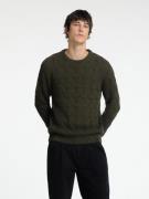 SELECTED HOMME Pullover  grøn