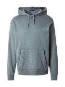 HOLLISTER Sweatshirt  grøn