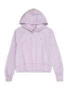 Abercrombie & Fitch Sweatshirt 'ESSENTIAL'  lilla