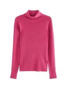 Next Pullover  fuchsia