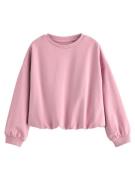 Next Sweatshirt  pink