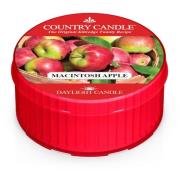 Country Candle Macintosh Apple Daylight