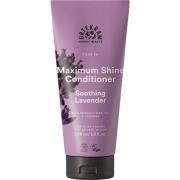 Urtekram Soothing Lavender Conditioner 180 ml