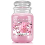 Country Candle Cherry Blossom 2 Wick Large Jar 150 h