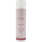 Hjärtligt Detox Shampoo 250 ml