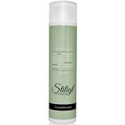 Hjärtligt Stiligt Shampoo 250 ml