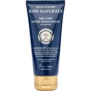 Raw Naturals Raw Naturals Recipe For Men Mr Cool After Shave Balm