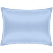 Cloud & Glow Spring Collection Silk Pillowcase  Sky Blue
