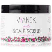 VIANEK Gentle Scalp Scrub 155 g