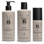 Björk VÄXA Kids Bundle Shampoo & Body Wash 300 ml & Bath Foam 300