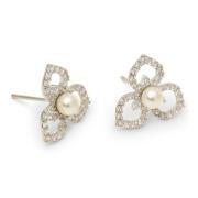 Lily and Rose Elise Earrings Ivory pearl silver