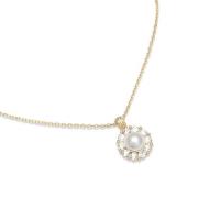 Lily and Rose New Sofia Pearl Necklace Ivory