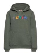 Lvb Logo Full Zip Hoodie Levi's Green