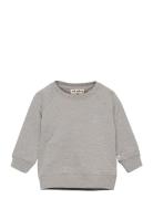 Alexi Sweatshirt Soft Gallery Grey