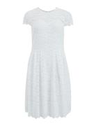 Vikalila Capsleeve Lace Dress - Noos Vila White
