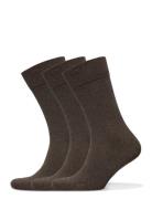 True Ankle Sock Amanda Christensen Brown