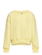 Our L Crew Sweat Grunt Yellow