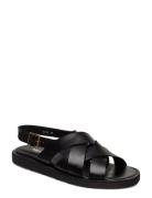 Sandals - Flat - Open Toe - Op ANGULUS Black