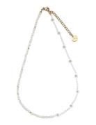 Daisy Freshwater Necklace Sui Ava Gold