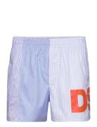 Boxer DSquared2 Patterned