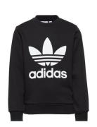 Trefoil Crew Adidas Originals Black