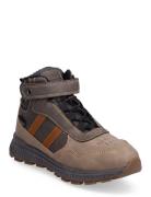 Sprox High Sneaker Sprox Brown