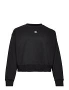 Adicolor Essentials Crew Sweatshirt Adidas Originals Black