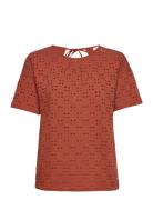 Ladies T-Shirt Ss Garcia Brown